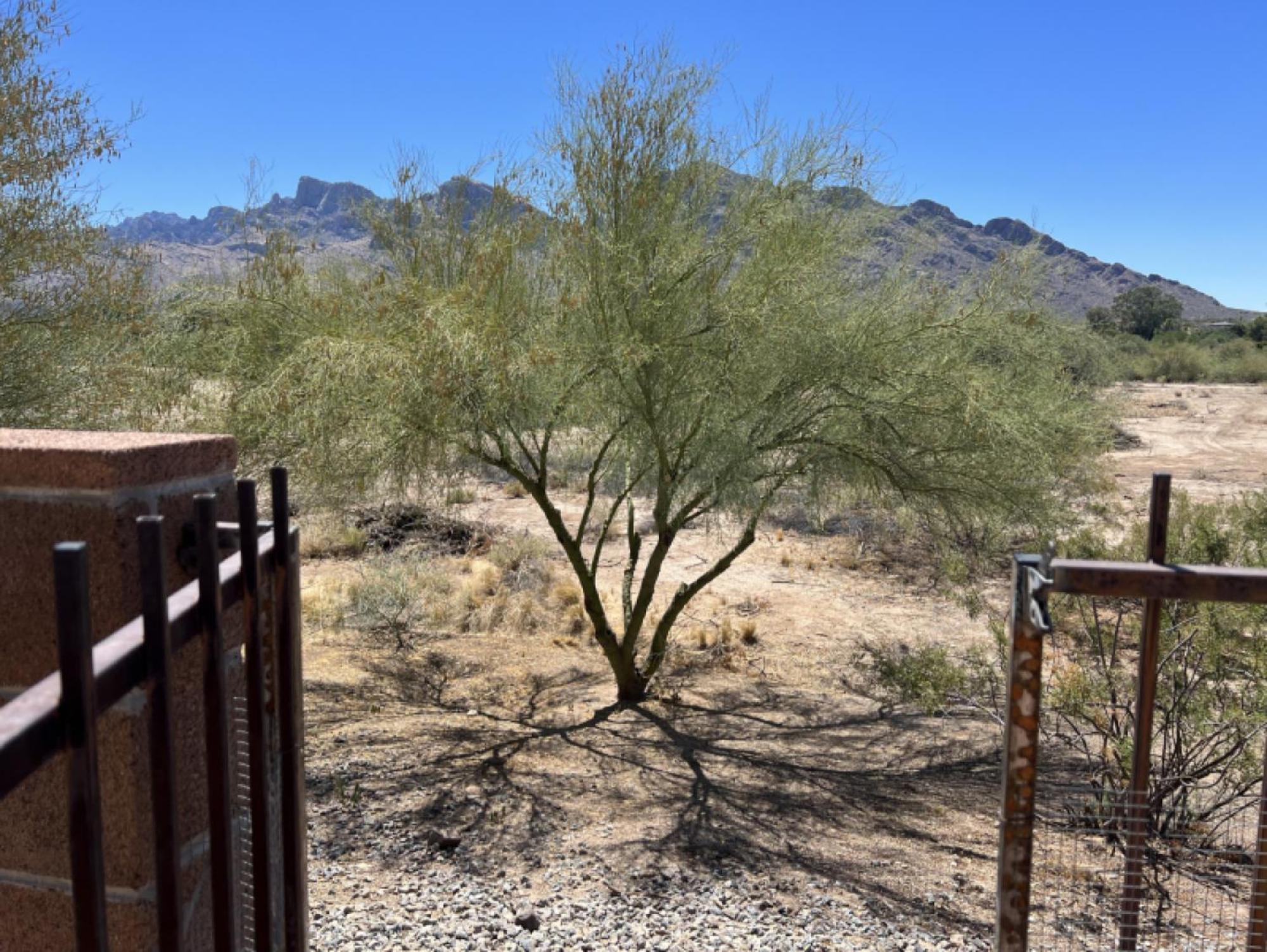 Private Home - Billiards, Mountain Views, Private Desert Access, Hoa Pool & Spa, Bbq, At Lambert Park - Bourbondale Tucson Bagian luar foto